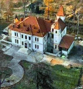 Три сім’ї викупили занедбаний палац на Львівщині, аби відновити його