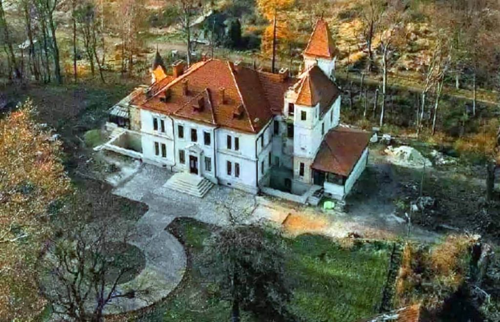 Три сім’ї викупили занедбаний палац на Львівщині, аби відновити його